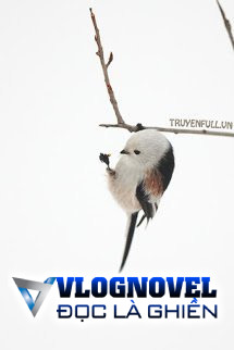 Dũng Sĩ Cầy Thảo Nguyên